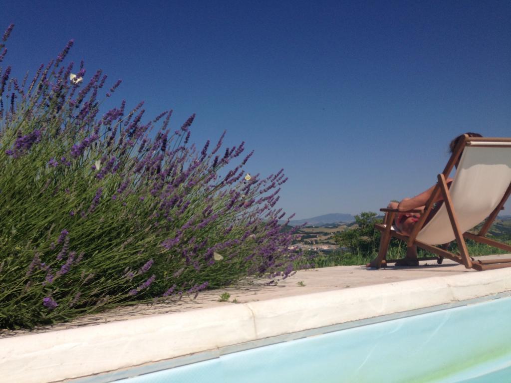 Agriturismo Il Fienile di Cà Battista Cagli Exterior foto