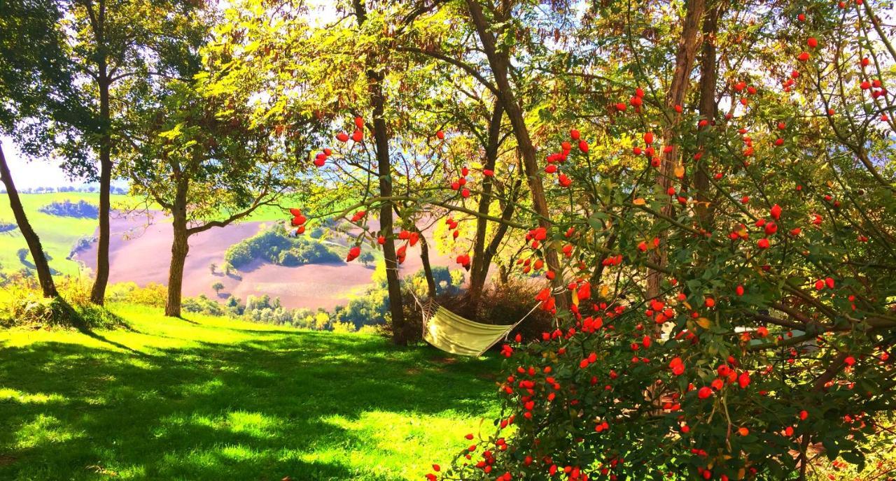 Agriturismo Il Fienile di Cà Battista Cagli Exterior foto