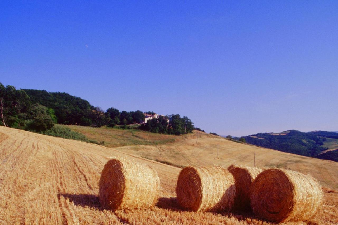 Agriturismo Il Fienile di Cà Battista Cagli Exterior foto